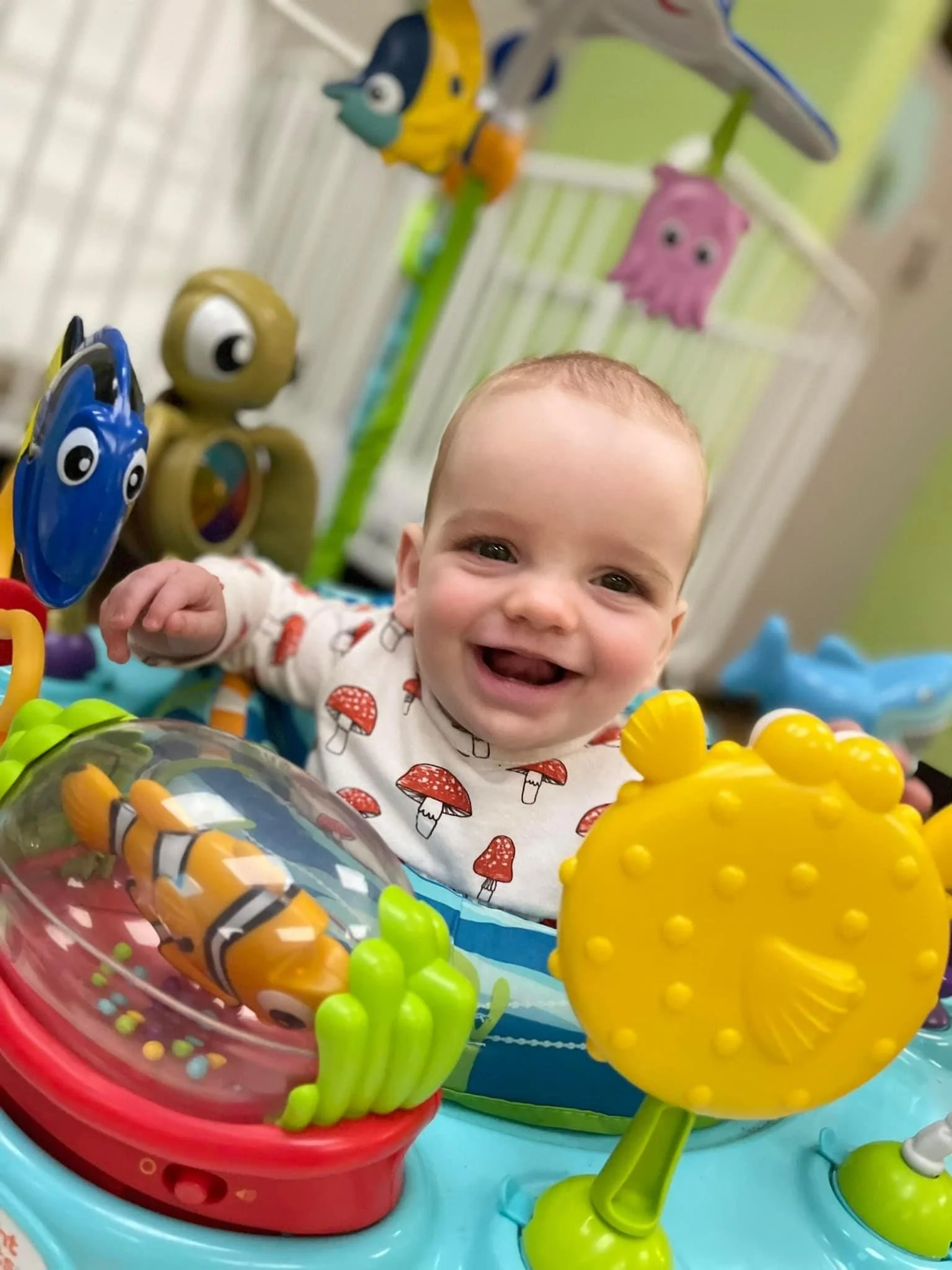 admissions — FRIENDS SCHOOL